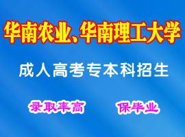 成人高考考前辅导班江门达德热招